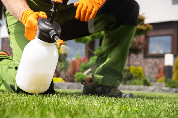 Lawn Pest Control in Indian Head, MD